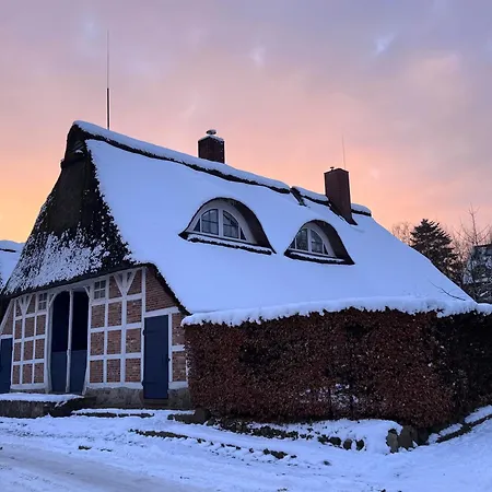 Holiday home Ferien Unterm Reetdach Stade
